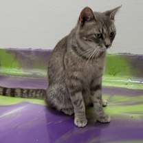 Thumbnail photo of Margo #3