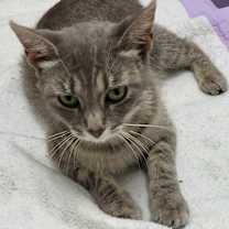 Thumbnail photo of Margo #4