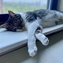 Thumbnail photo of Lucy #3