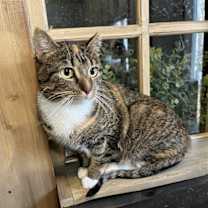 Thumbnail photo of Dot #1
