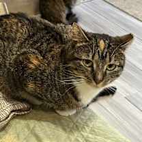 Thumbnail photo of Dot #2