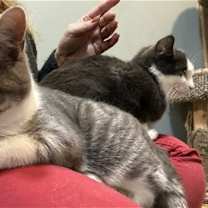 Thumbnail photo of Pookie #1