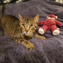 Thumbnail photo of Axel #3