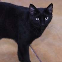 Thumbnail photo of Max #3
