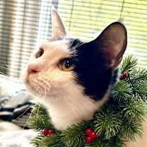 Thumbnail photo of Vannessa #1