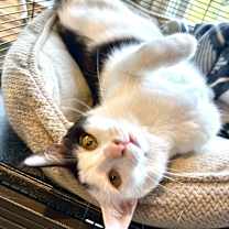 Thumbnail photo of Vannessa #3