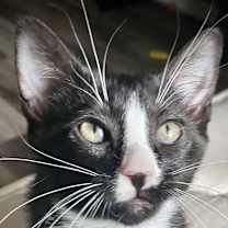 Thumbnail photo of Lala #3