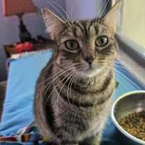 Thumbnail photo of Holly #1