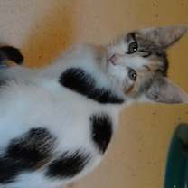 Thumbnail photo of Mary #1