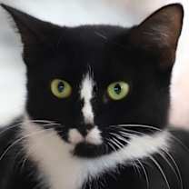 Thumbnail photo of Alma #2