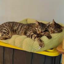 Thumbnail photo of Mina #4