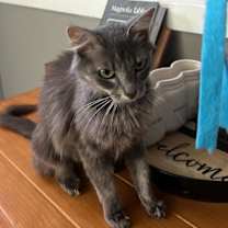 Thumbnail photo of Ella #2