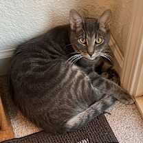 Thumbnail photo of Grayson #1