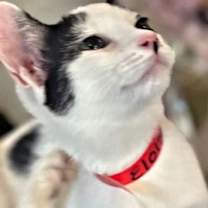 Thumbnail photo of Eloise #2