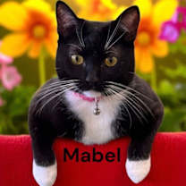 Thumbnail photo of Mabel #1