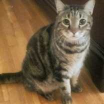 Thumbnail photo of Papi #3