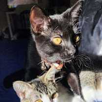Thumbnail photo of Wednesday #2