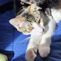 Thumbnail photo of Wednesday #3
