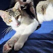 Thumbnail photo of Wednesday #4