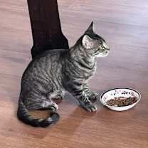 Thumbnail photo of Lucy #1