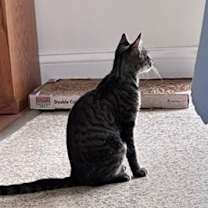 Thumbnail photo of Lucy #2