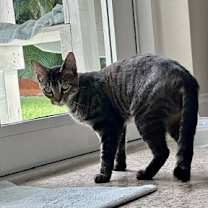 Thumbnail photo of Lucy #3