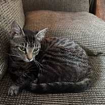 Thumbnail photo of Lucy #4