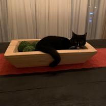 Thumbnail photo of MS. BELLA (COURTESY POST) #2