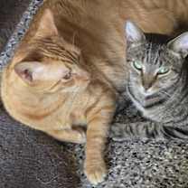 Thumbnail photo of Sammy #4