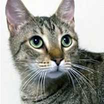 Thumbnail photo of CUTIE PIE #1