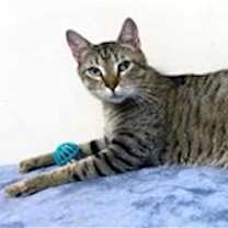 Thumbnail photo of CUTIE PIE #3