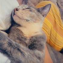 Thumbnail photo of Skye #4