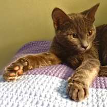 Thumbnail photo of Gemma & Jack #2