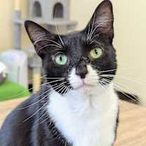 Thumbnail photo of Missy #1