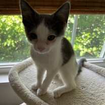 Thumbnail photo of Winkin #1