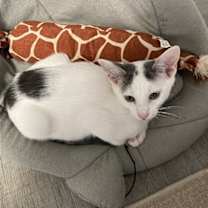 Thumbnail photo of Karl #2