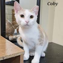 Thumbnail photo of Coby #1