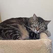 Thumbnail photo of Libby #1