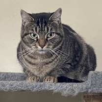 Thumbnail photo of Libby #2