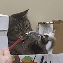 Thumbnail photo of Libby #3
