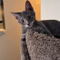 Thumbnail photo of Forrest #1