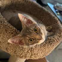 Thumbnail photo of Forrest #2