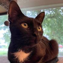 Thumbnail photo of Jane #1