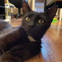 Thumbnail photo of Jane #2