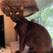 Thumbnail photo of Jane #3