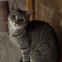 Thumbnail photo of Humility Riverton #2