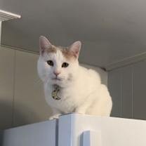Thumbnail photo of JUPITER (COURTESY POST) #2