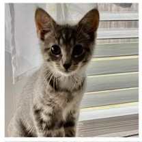 Thumbnail photo of Bobbi #1