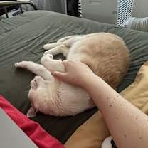 Thumbnail photo of Chatty Chap #2