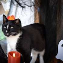 Thumbnail photo of WONKY #1